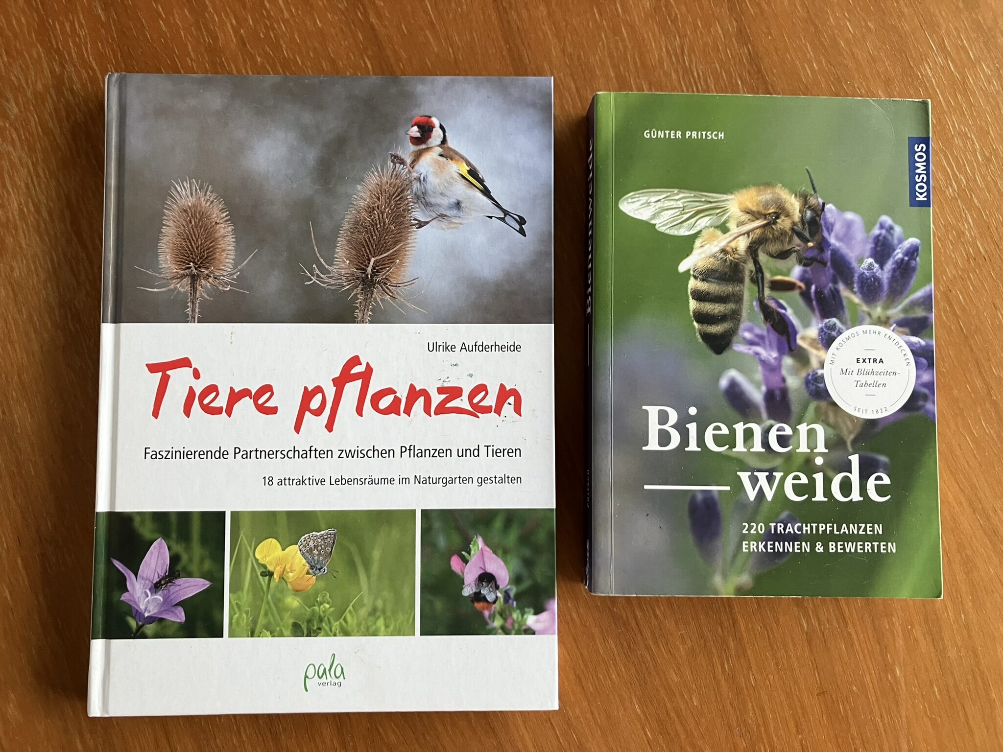 Bücher zu insektenfreundlichen Pflanzen