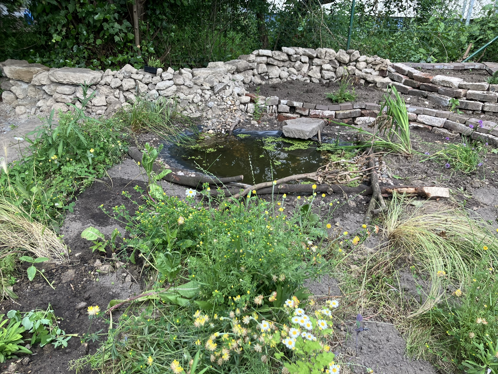 Kleiner Teich mit terrassierten und frisch bepflanzten Beeten