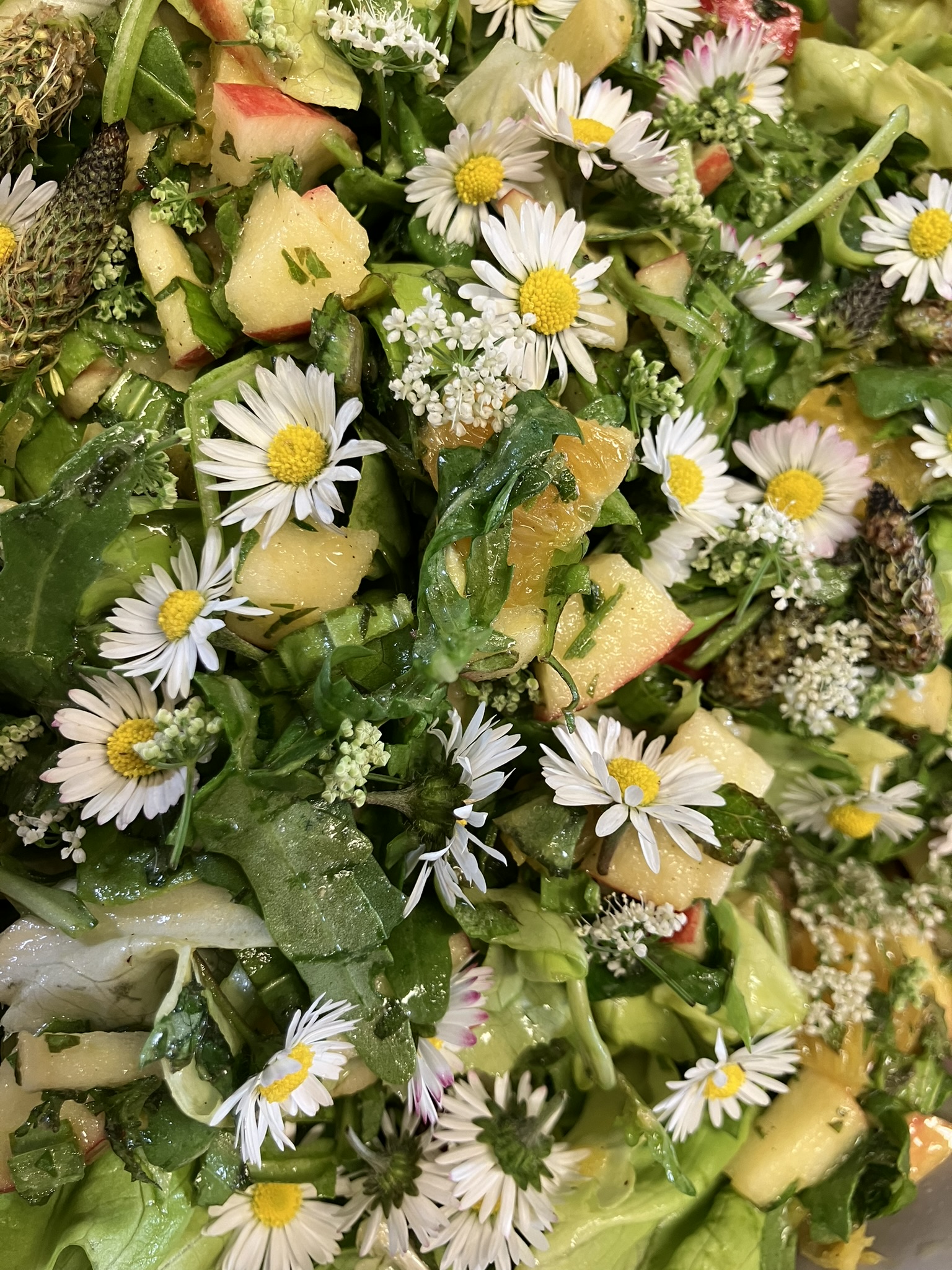 Mittagessen bei einem Praxiswochenende der Kräuterpädagogikfortbildung: Salat mit Wildkräutern und essbaren Blüten