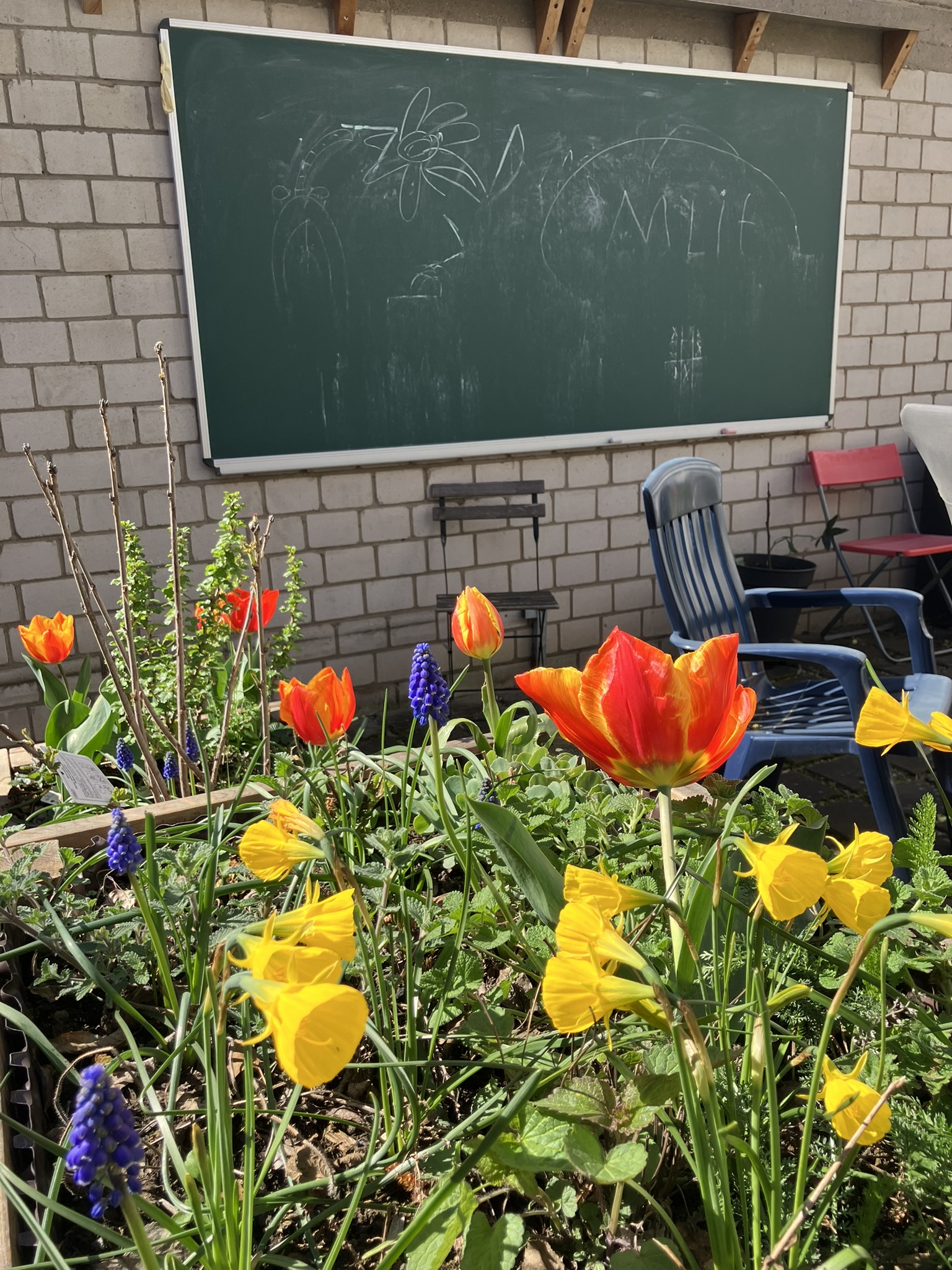 Der Garten des Zentrums für Lehrkraftbildung (ZfL) der Universität zu Köln - ein idealer Lernraum für ein Seminar zur Bildung für nachhaltige Entwicklung im sprachbildenden Unterricht für Neuzugewanderte (Sonja Eisenbeiß, WS 2024/25)