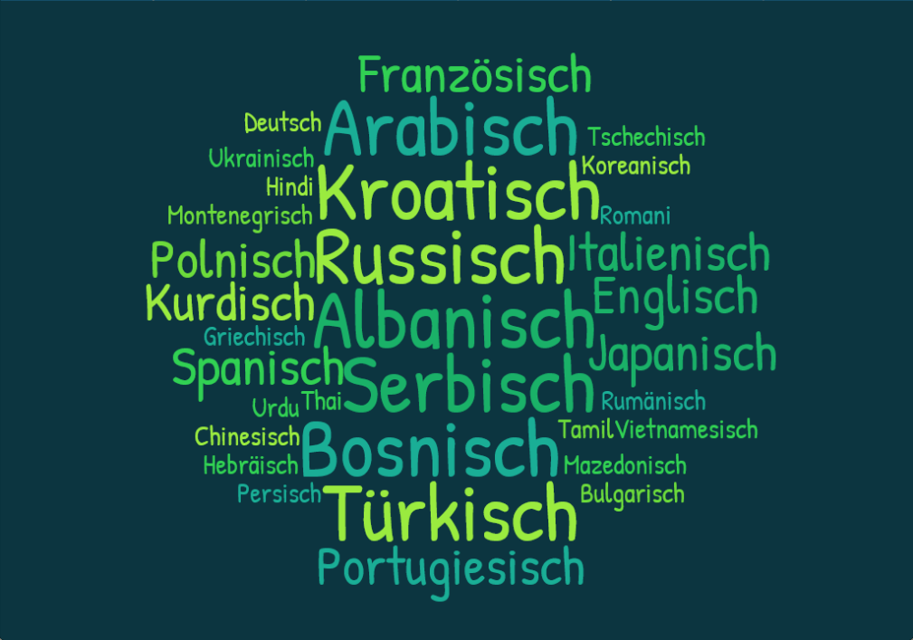 Wortwolke zu den Sprachbeschreibungen von Hoffmann et al. (2017), Krifka et al. (2014), Schader (2013), erstellt auf https://www.abcya.com