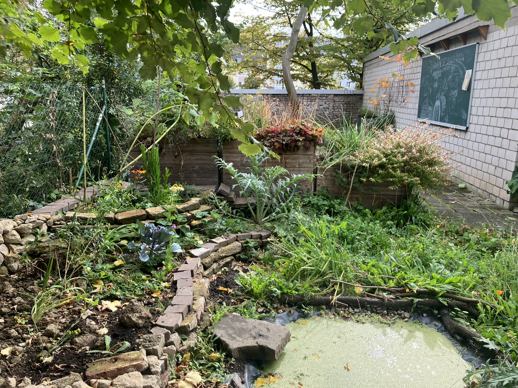 Ein Blick in den Garten des Kölner Zentrums für Lehrkraftbildung (ZfL) der Universität zu Köln